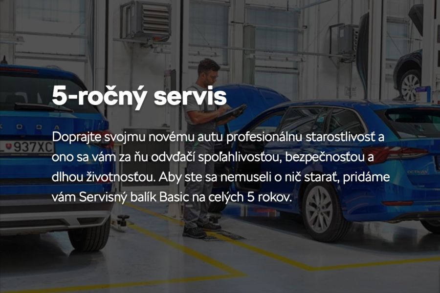 5 ročný servis